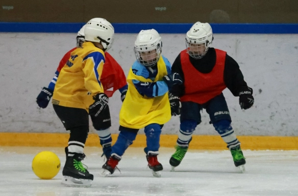 «JAS NOMAD» бағдарламасы: Көкшетау мен Павлодарда жаттықтырушыларға арналған көшпелі семинарлар өтті