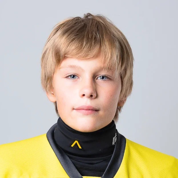 Венчиков Лев