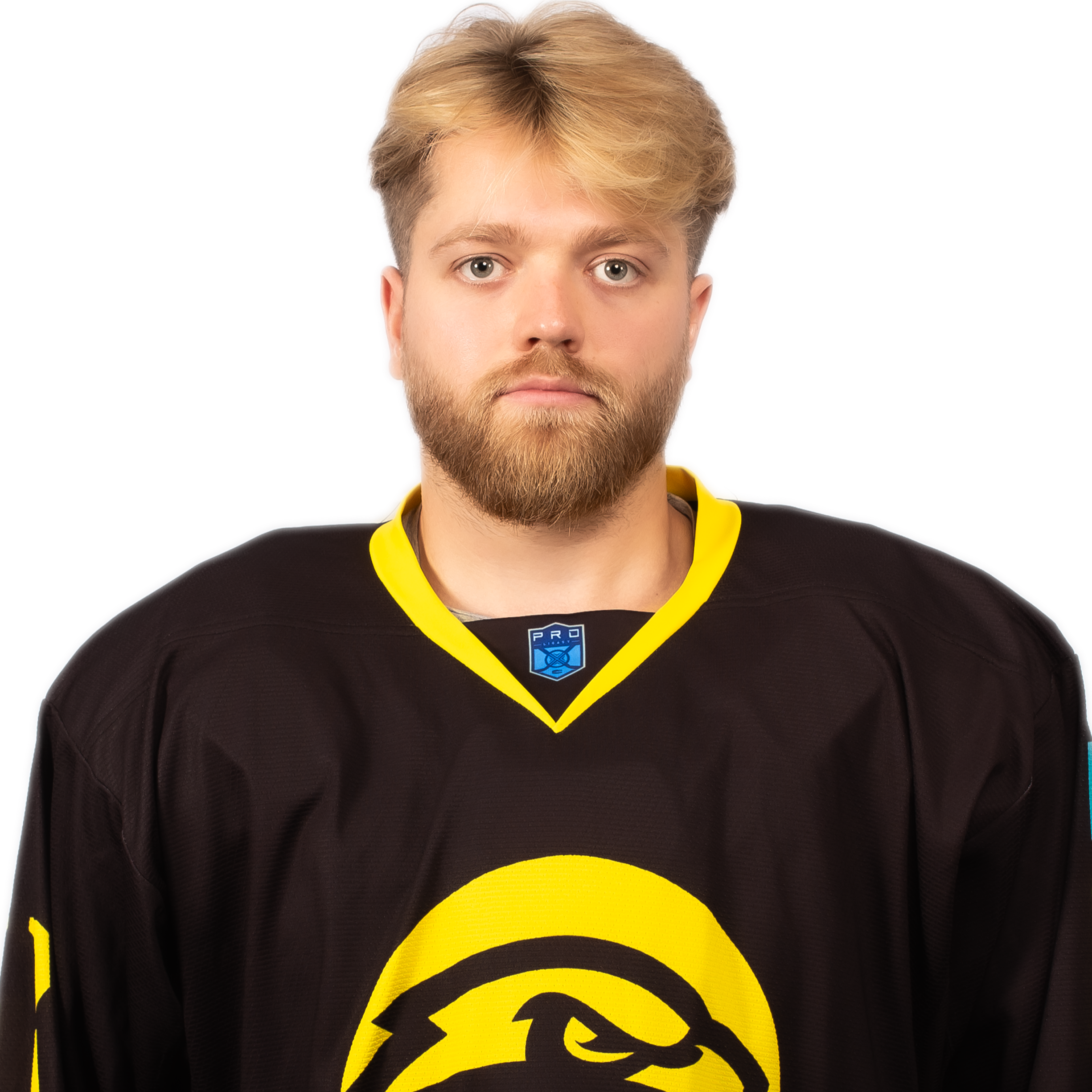 Грязев Артемий