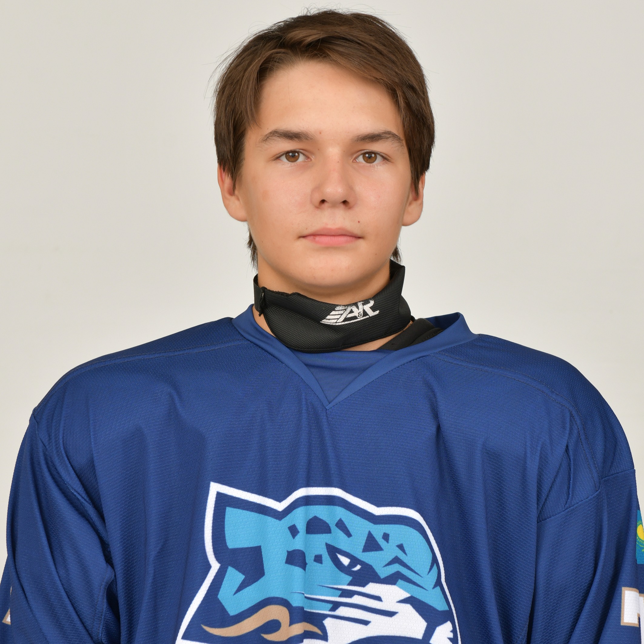 Гареев Илья