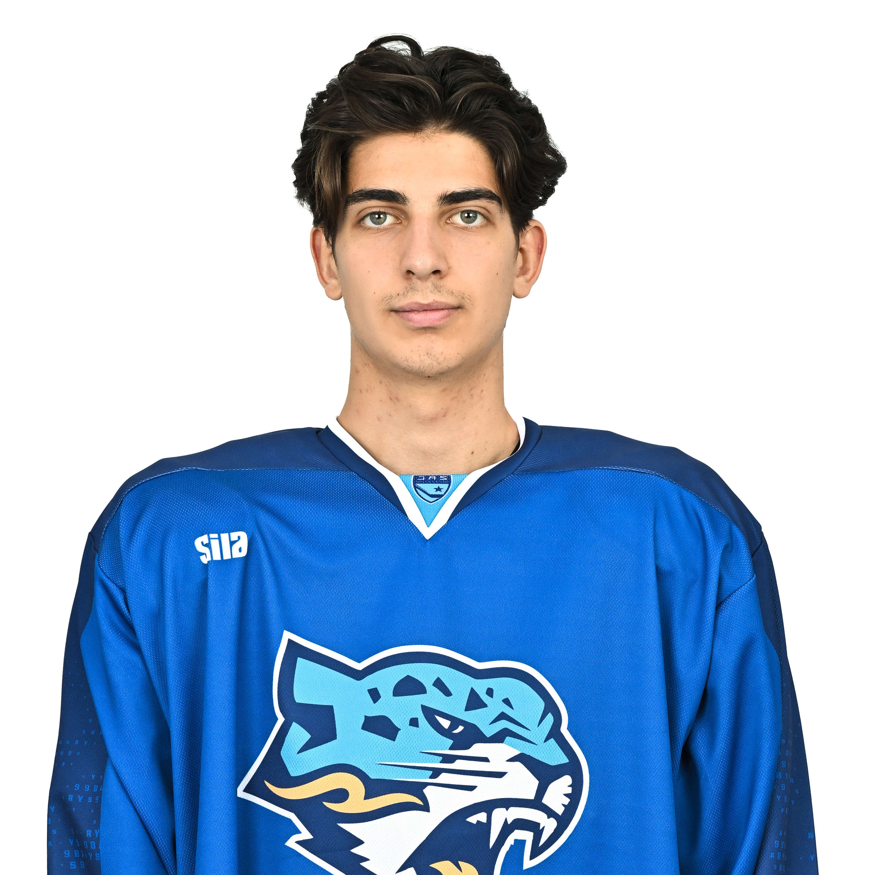 Быков Александр