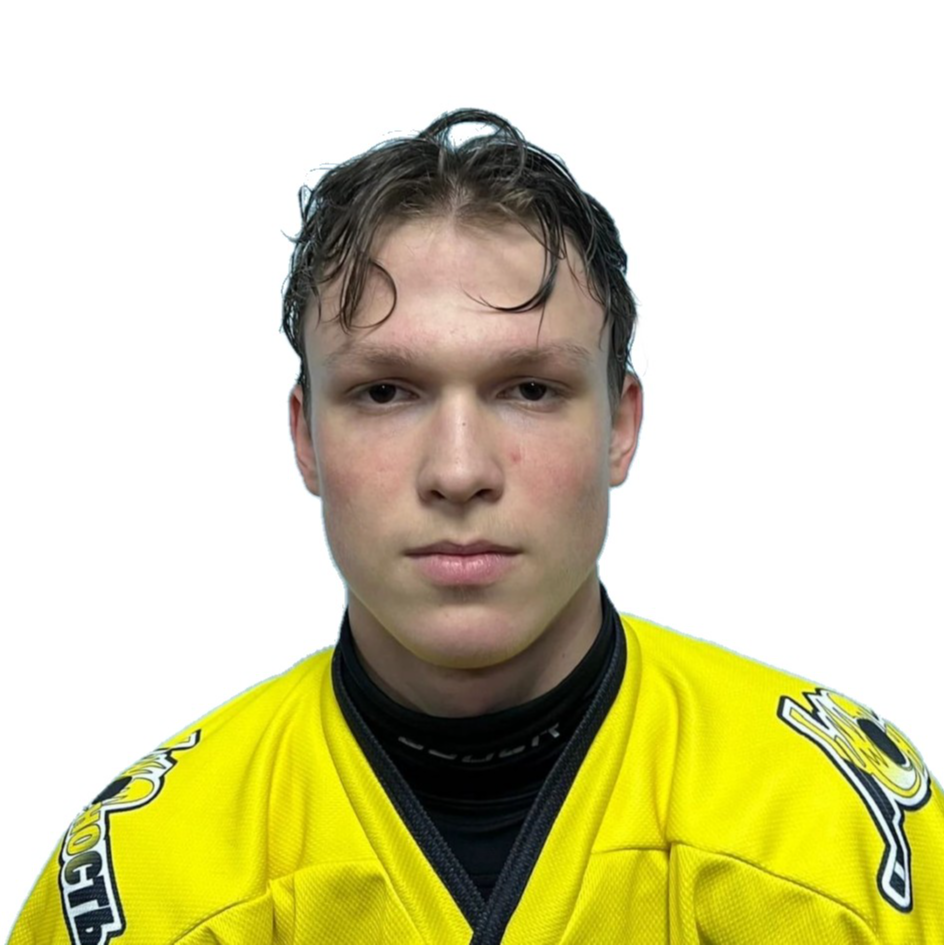 Илларионов Михаил