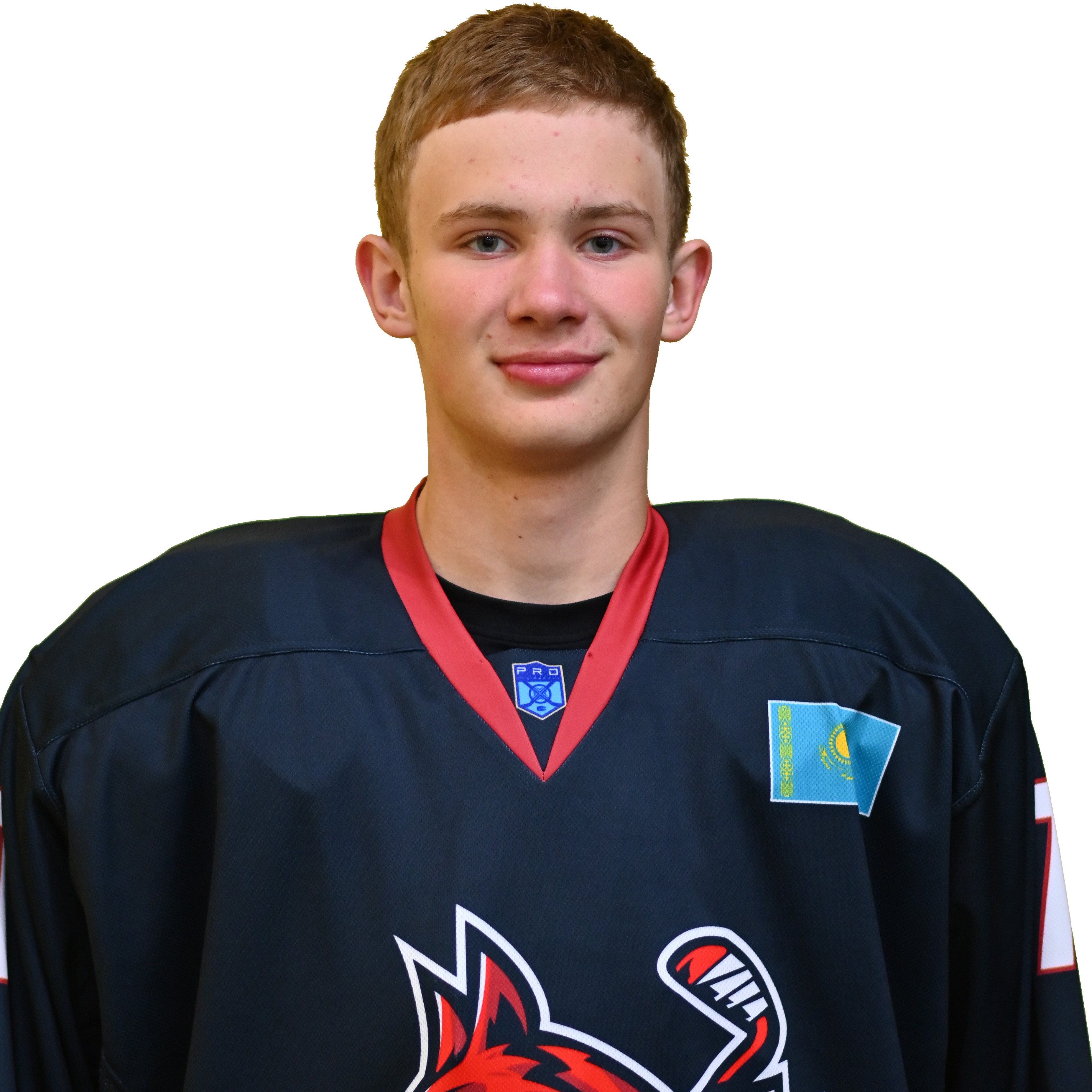 Крицин Лев
