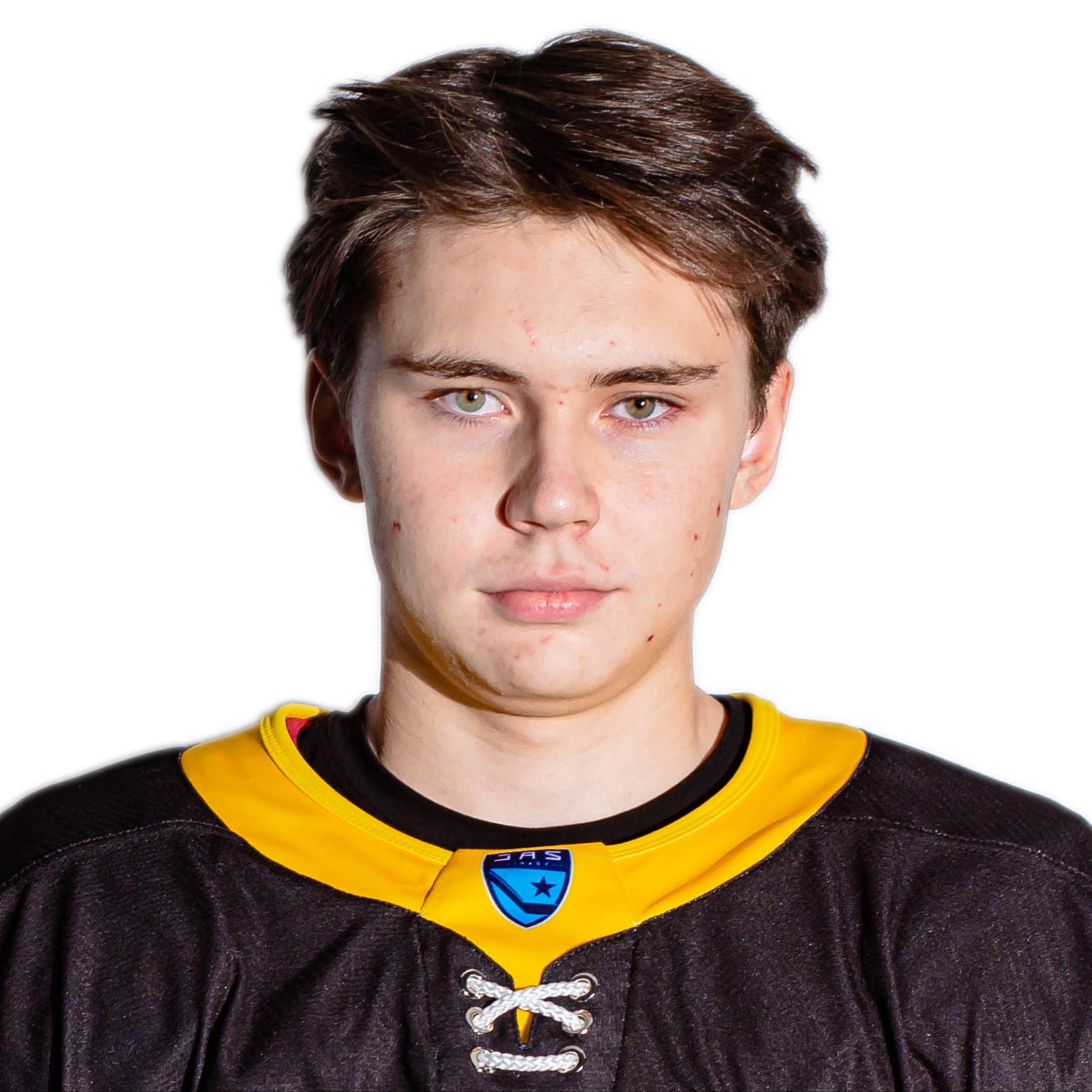 Гордин Лев