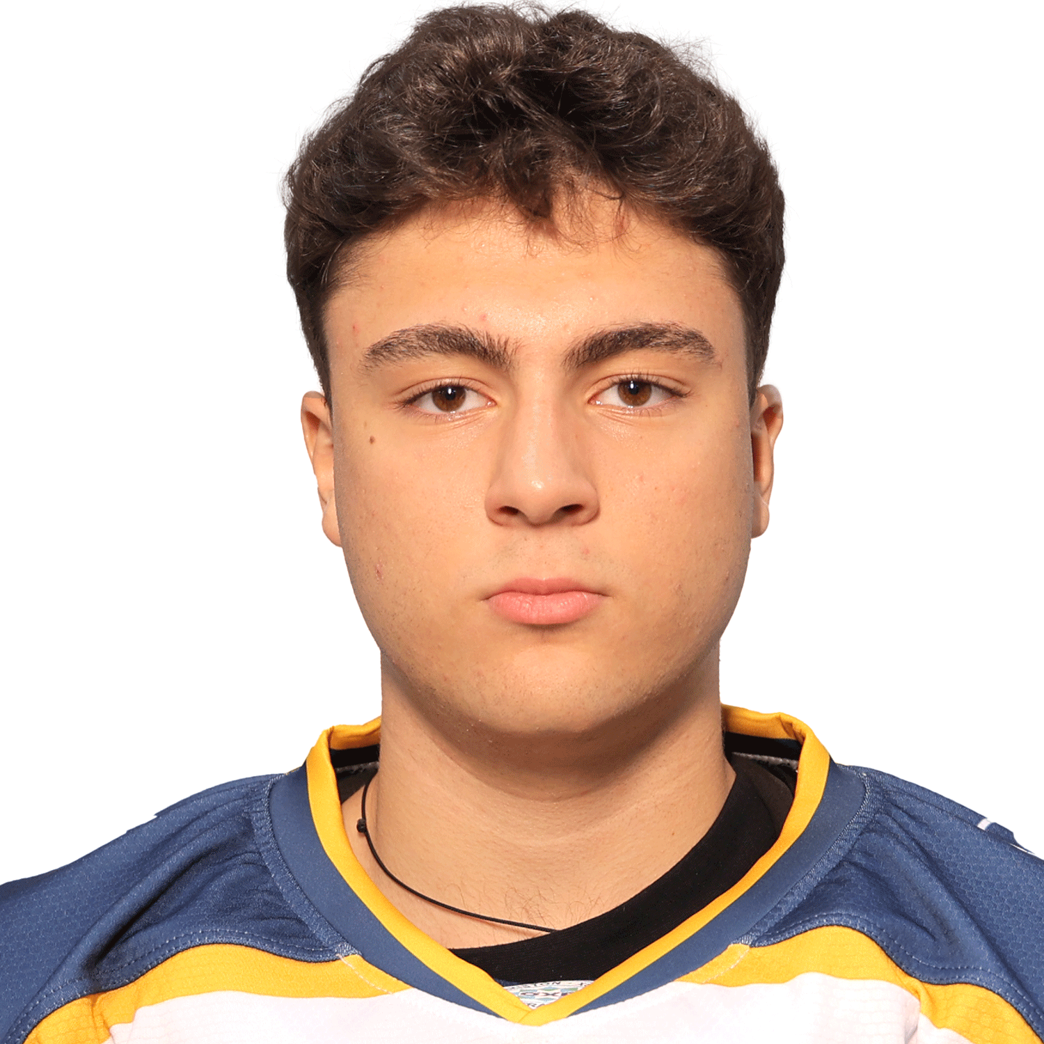 Петросян Лорен