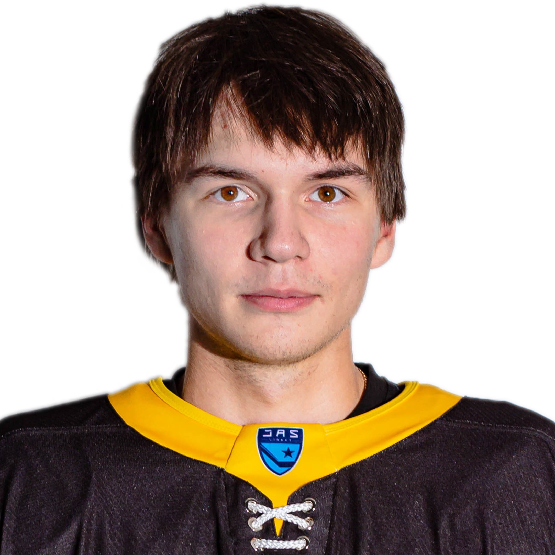 Гареев Илья