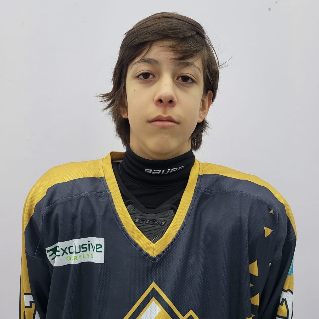 Сапаргали Амир