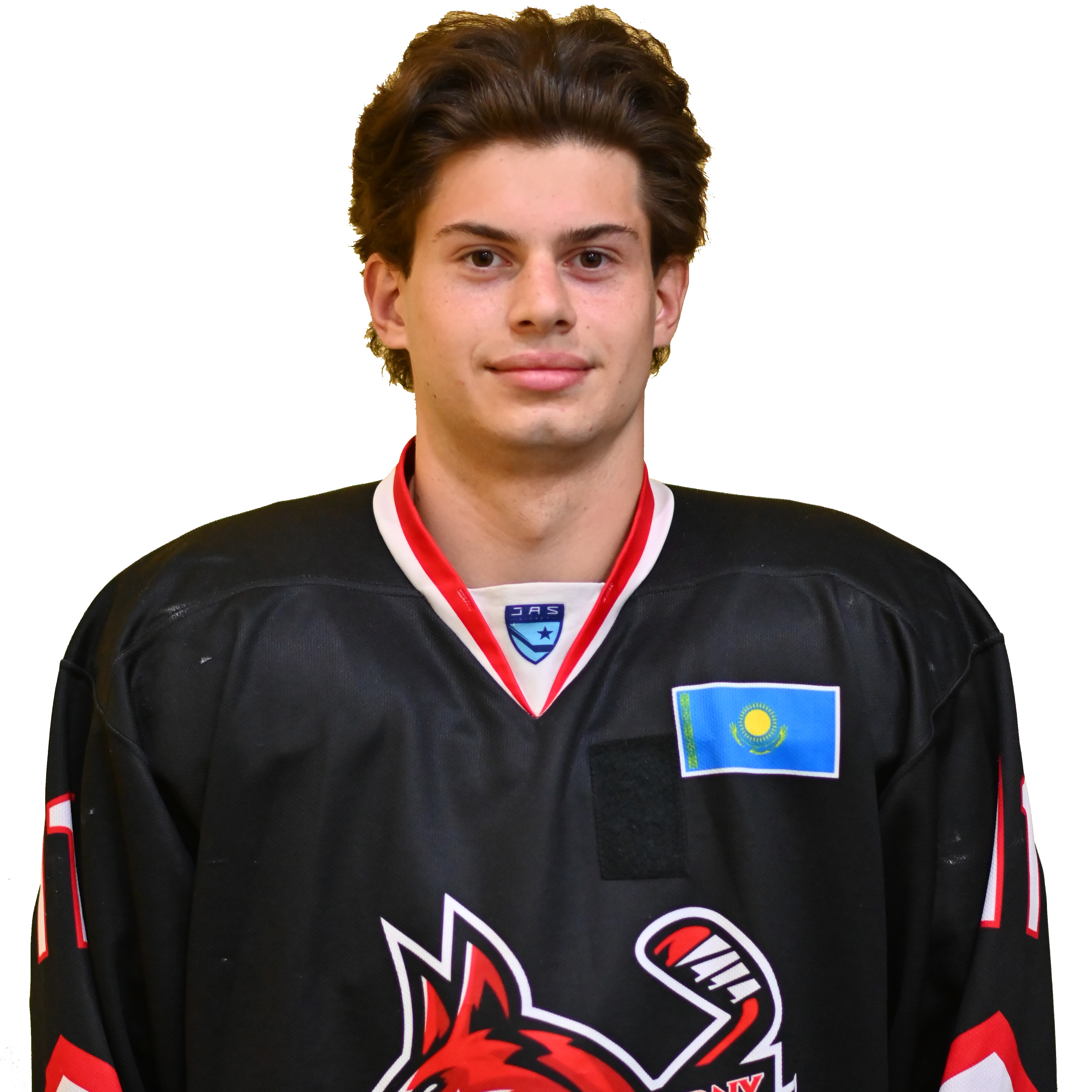 Стенников Давид