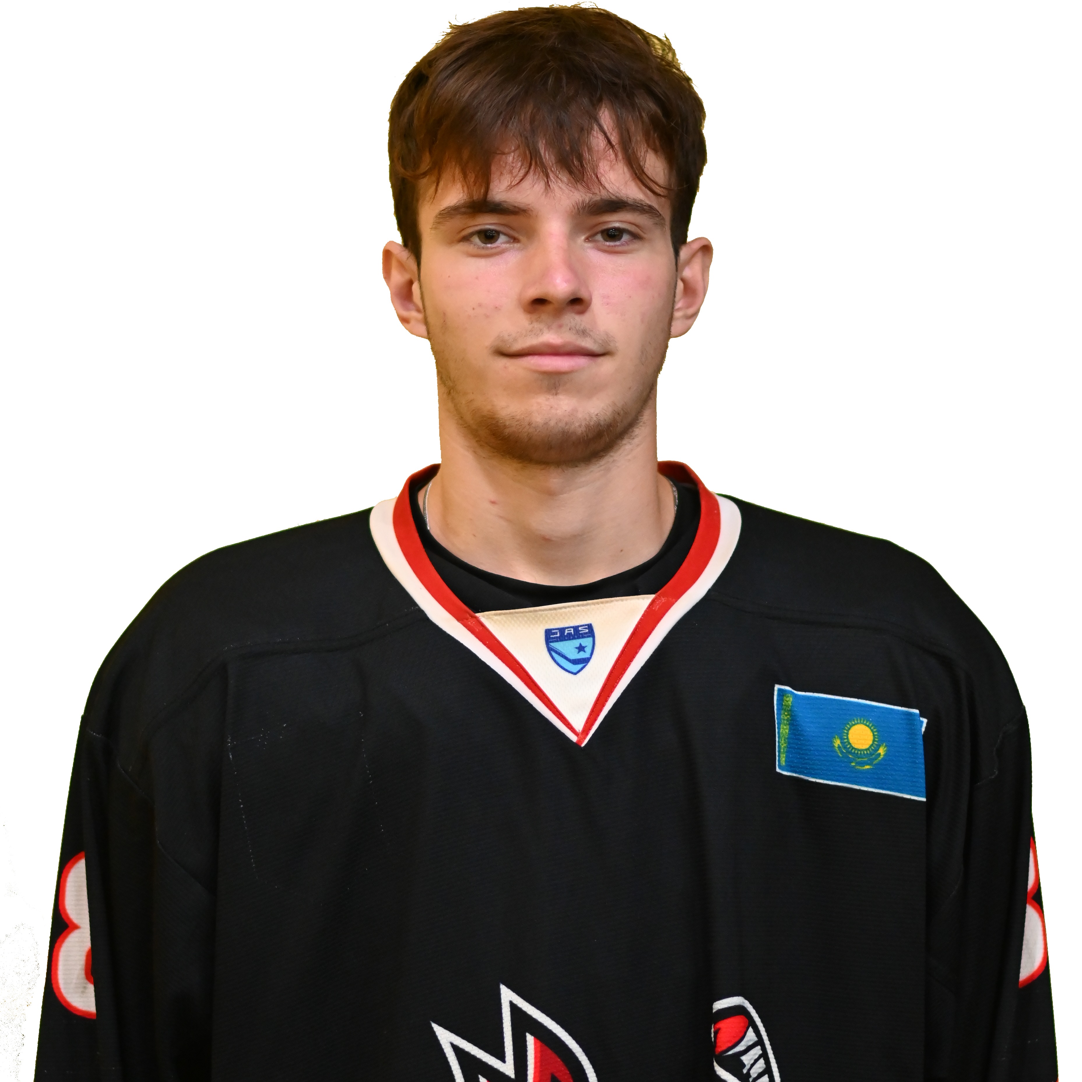 Литвинцев Ростислав