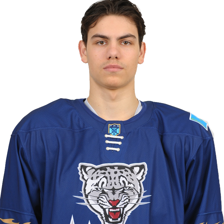 Никитин Владимир