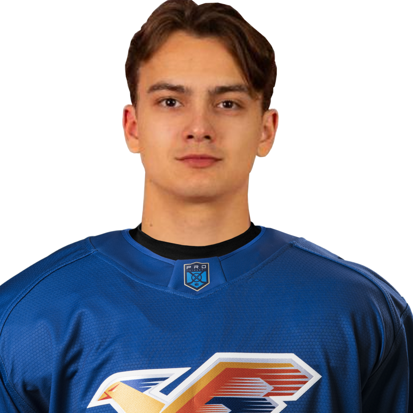 Грязнов Артем