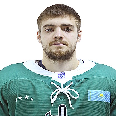 Дубинин Роман