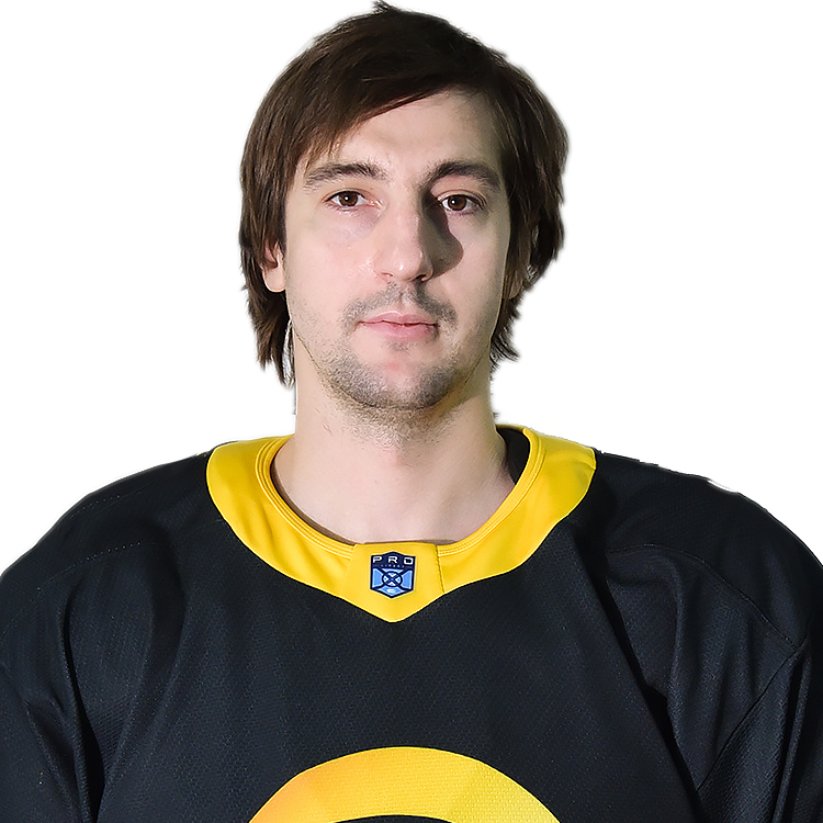 Наместников Егор