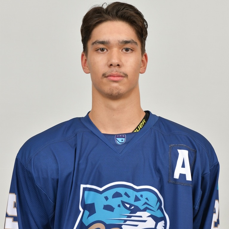 Шипилин Мстислав