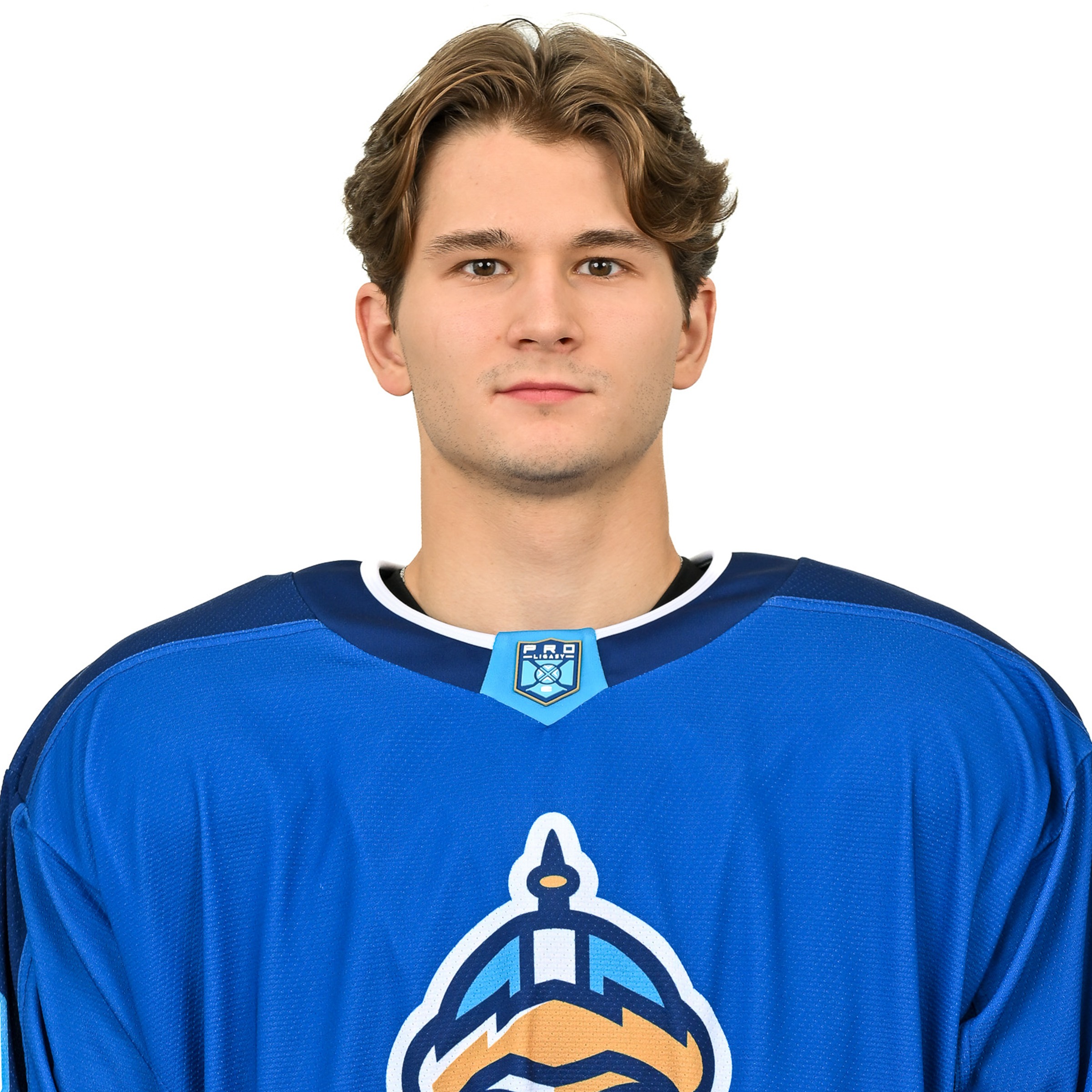Медведев Даниил