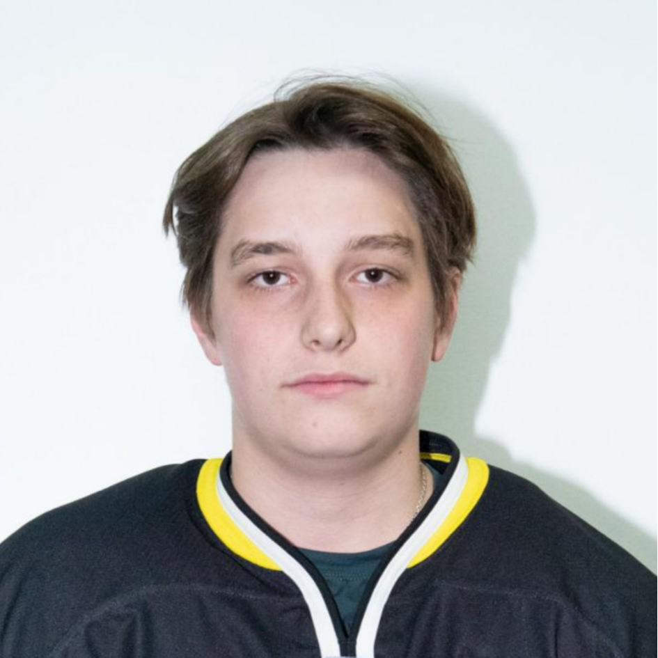 Перцев Илья